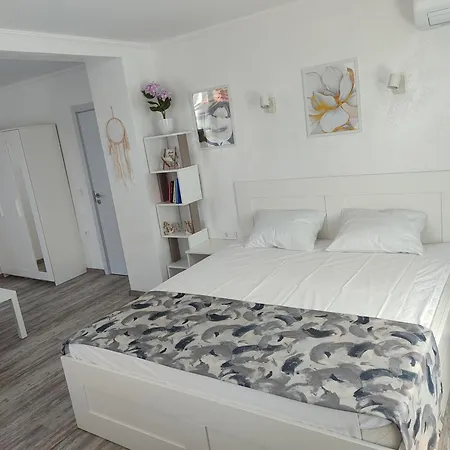 Teddy's Apartment